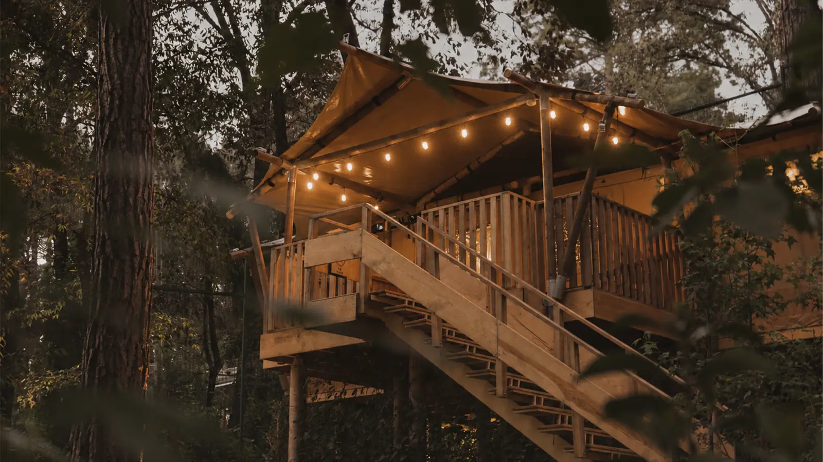 Cabaña de glamping entre los árboles
